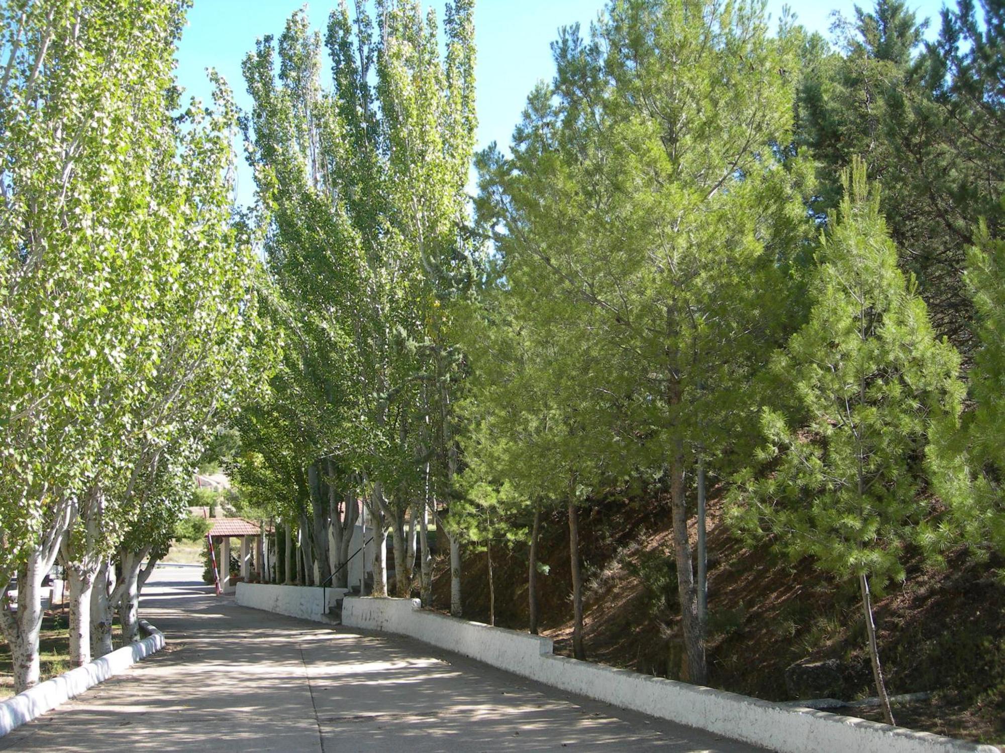 Lago Resort Nuévalos Extérieur photo